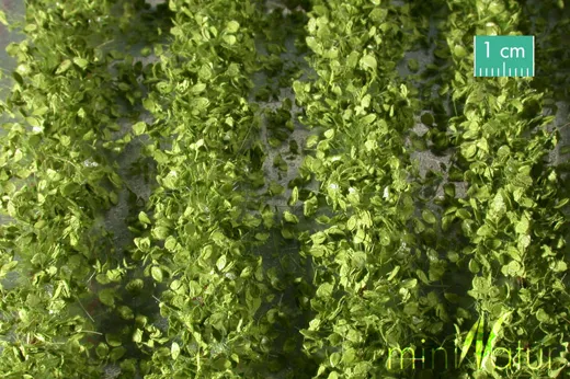Agrarstreifen mit Blättern Grösse ca. 210 cm / Frühling