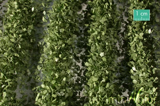 Agrarstreifen mit Blättern Grösse ca. 210 cm / Sommer