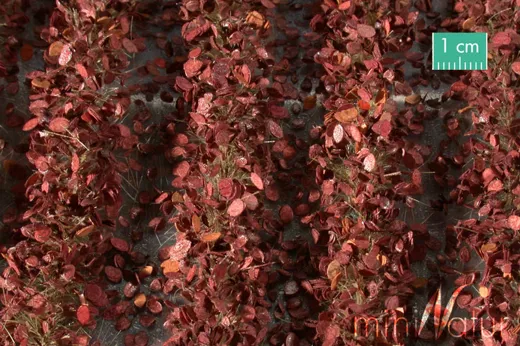 Agrarstreifen mit Blättern Grösse ca. 210 cm / Spätherbst