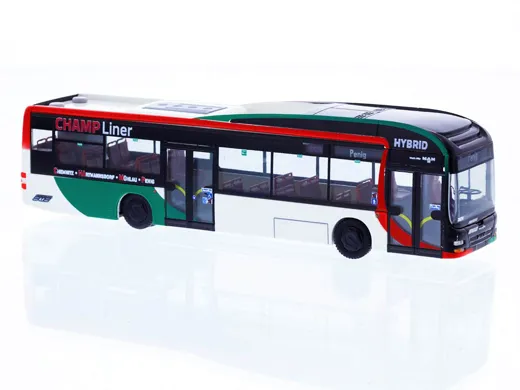 MAN Lions City Hybrid Regiobus Mittelsachsen - CHAMP Liner
