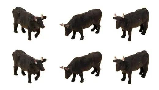 Cows 6/