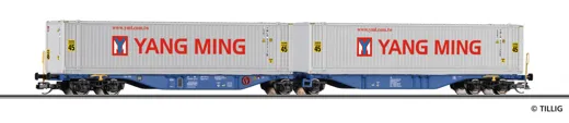 Containertragwagen ITL