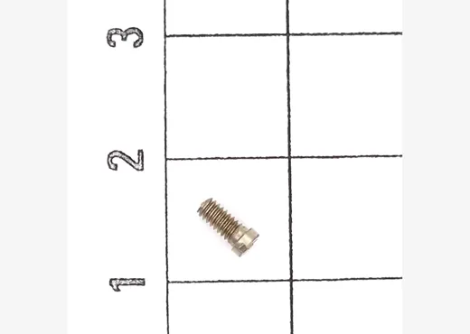 Zylinderschraube M2x4,4 (10 S