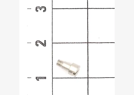 Zylinderansatzschraube M2 (10